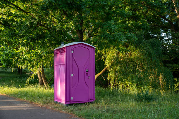 Best Porta potty rental near me  in Birch Run, MI