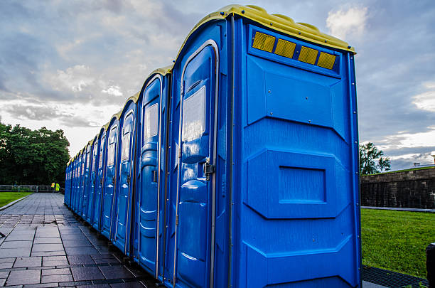Best Sanitation services for porta potties  in Birch Run, MI